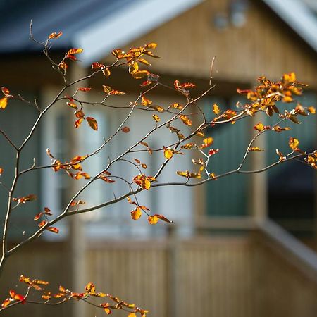 Vare 4 Vandrarhem Traslovslage Экстерьер фото